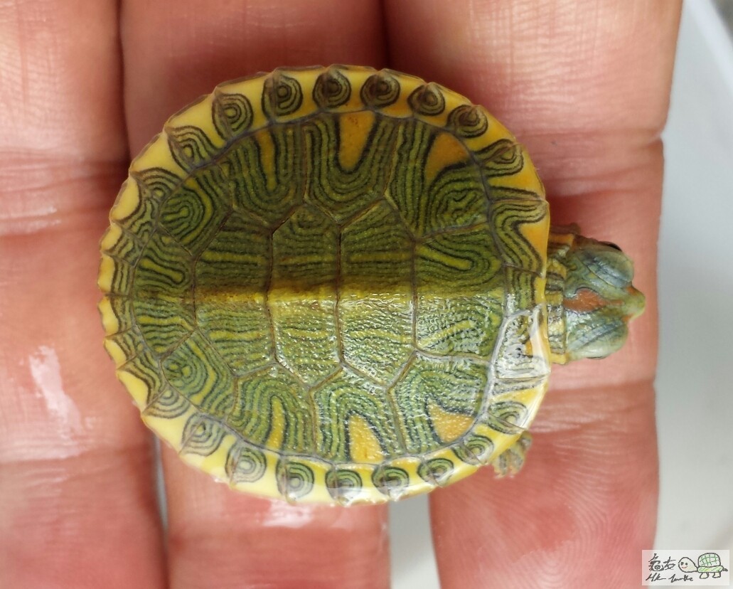 2018-07-02 09.48.28.jpg