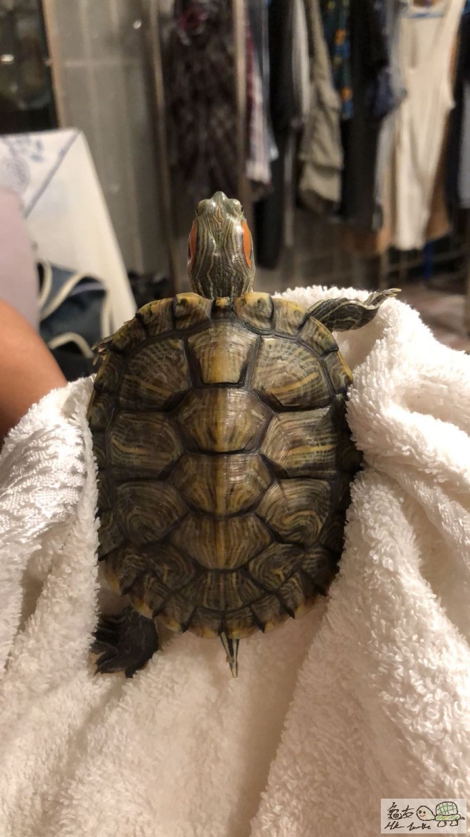 WhatsApp Image 2018-07-13 at 19.07.01(1).jpeg