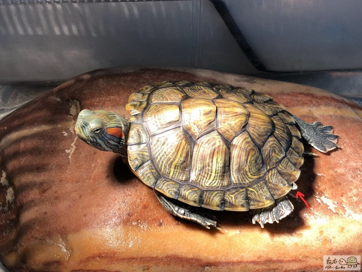 WhatsApp Image 2018-07-16 at 16.08.50.jpeg