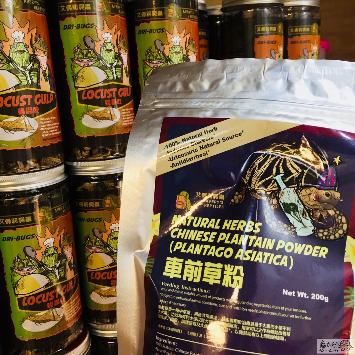 車前草粉 Chinese Plantain Powder (Plantago asiatica)