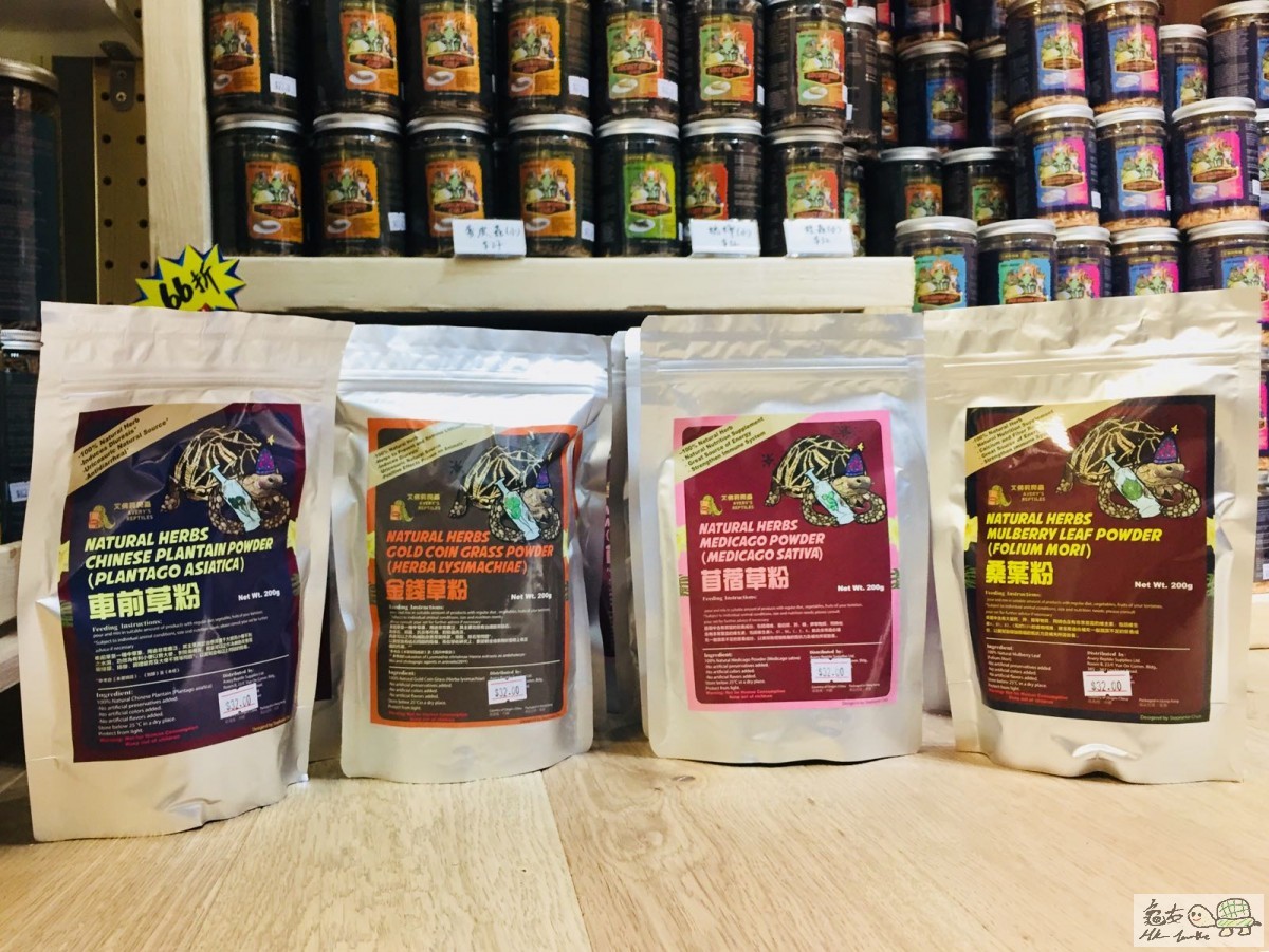 車前草粉 Chinese Plantain Powder (Plantago asiatica)