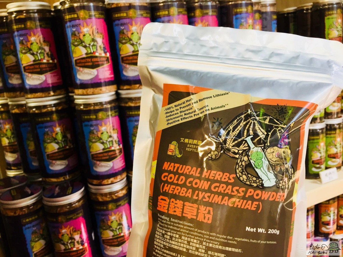 金錢草粉Gold Coin Grass Powder