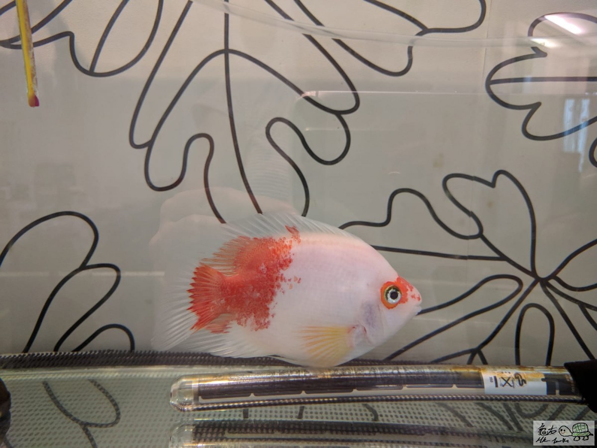 WhatsApp Image 2018-07-27 at 12.40.26 PM.jpeg