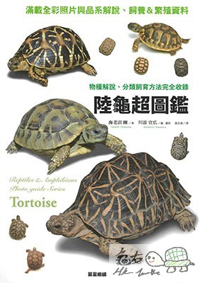 book tortise.jpg