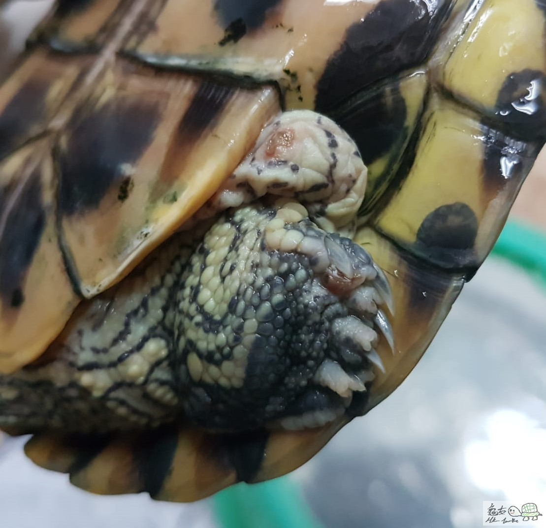 WhatsApp Image 2018-07-31 at 14.14.08(2).jpeg