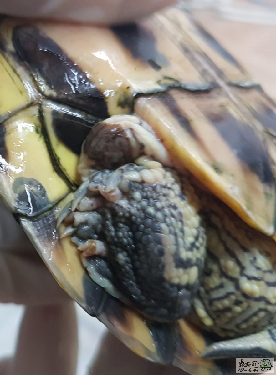 WhatsApp Image 2018-07-31 at 14.14.09.jpeg