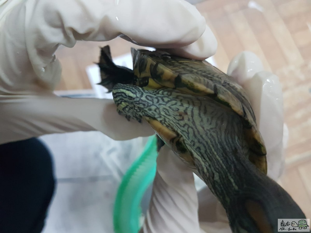 WhatsApp Image 2018-07-31 at 14.14.08.jpeg