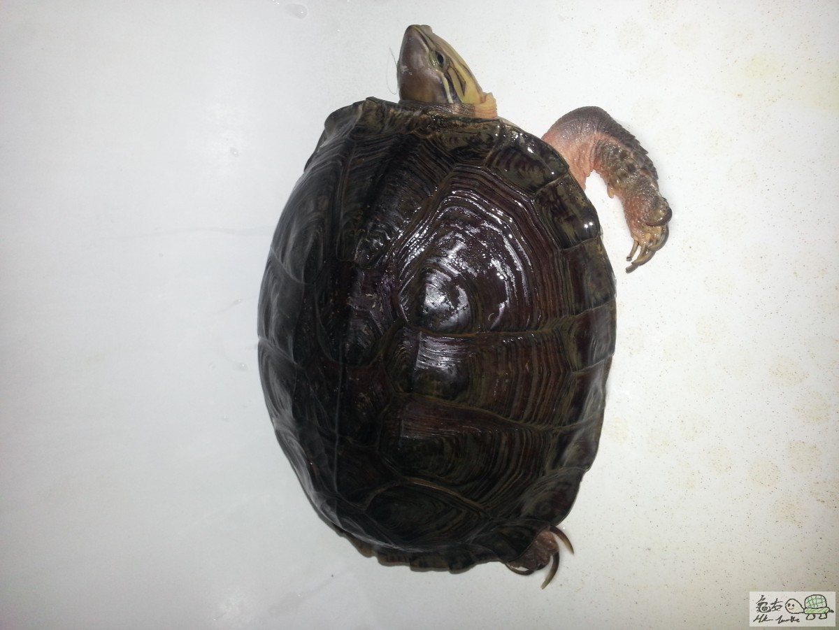 20181007_213652.jpg