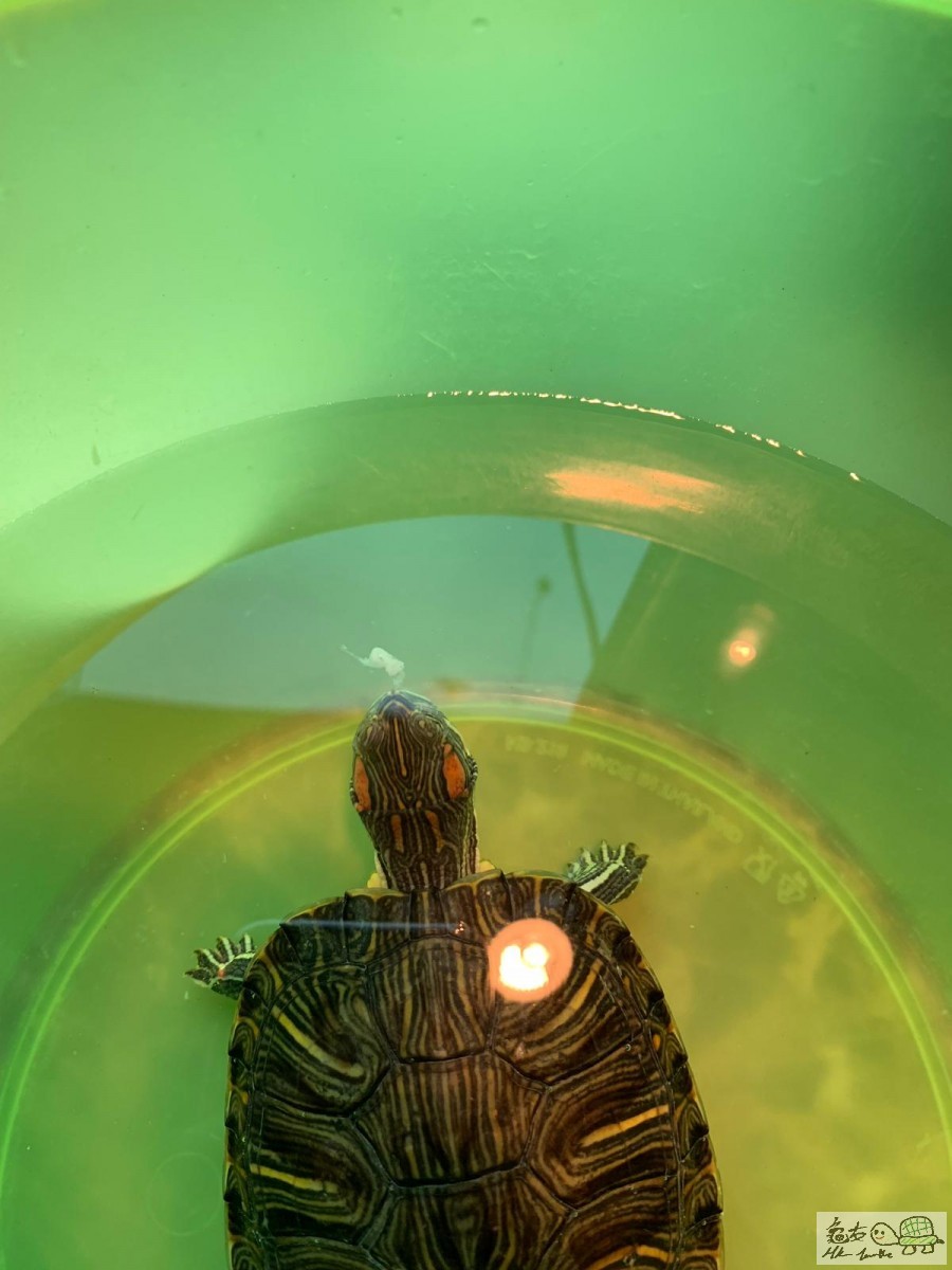 564287cd-81e0-44c6-ab96-1638c539c5bd - Copy.jpg