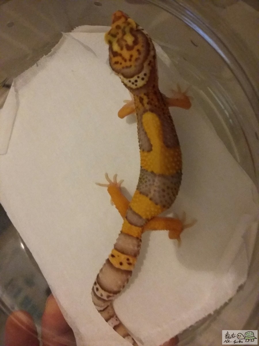 20181012_224310_resized_1 (1).jpg