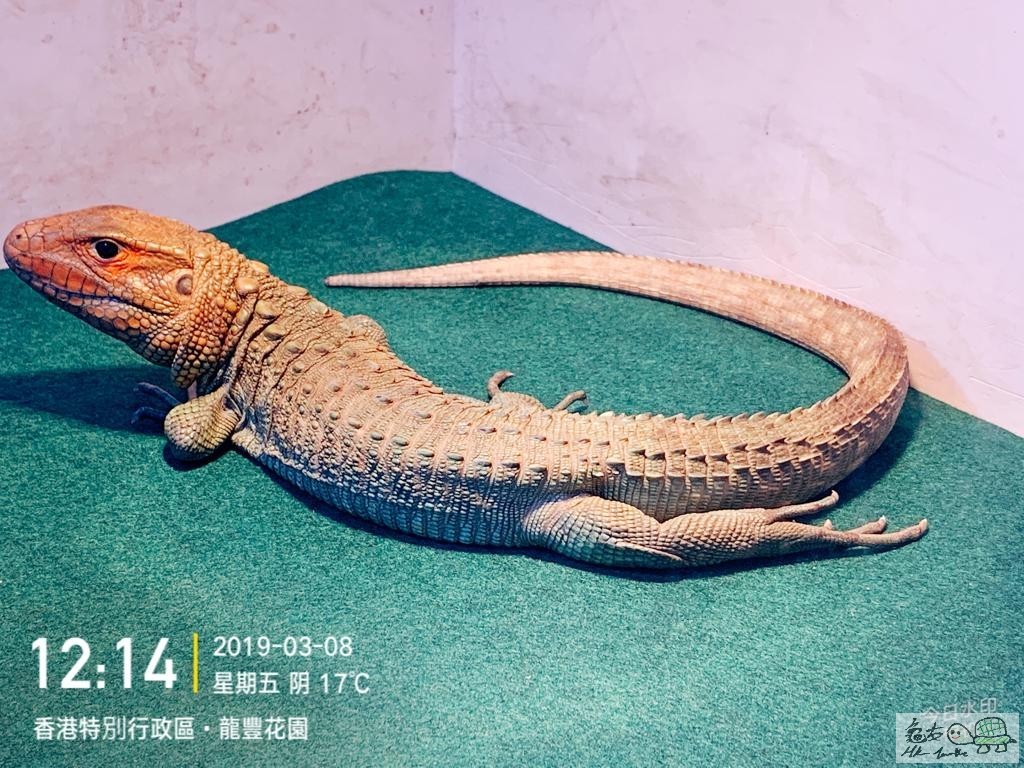 IMG-20190308-WA0004.jpg