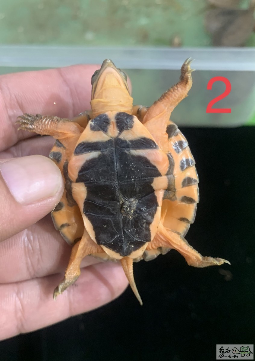F07E5C67-1015-443C-9353-77D3E85062D0.jpeg