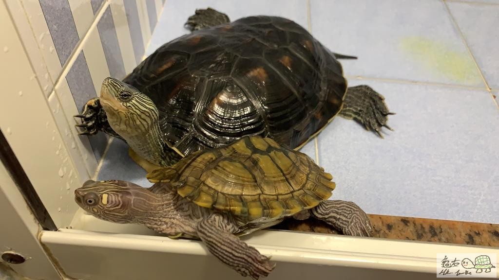 WhatsApp Image 2019-11-11 at 2.05.44 PM-2.jpeg