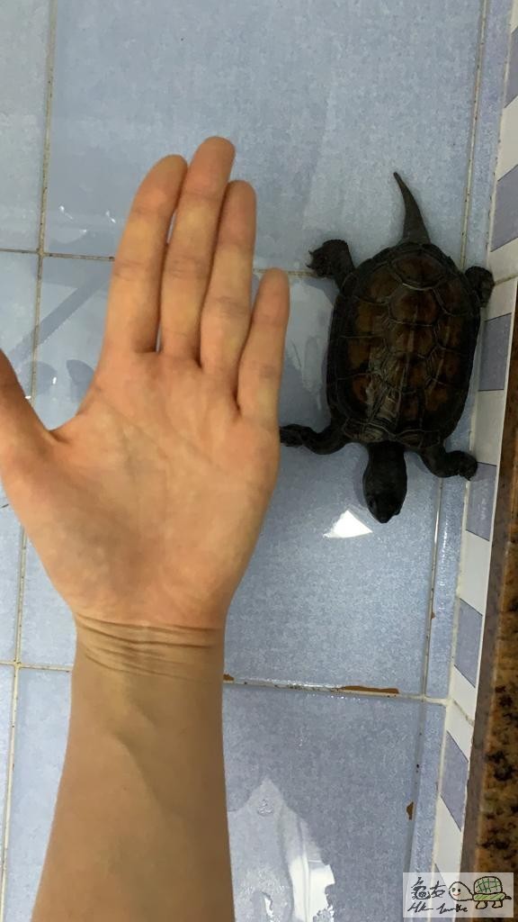 WhatsApp Image 2019-11-11 at 2.05.44 PM-3.jpeg