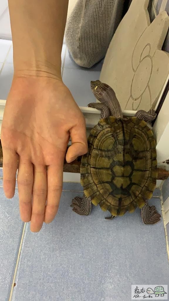 WhatsApp Image 2019-11-11 at 2.05.44 PM-4.jpeg