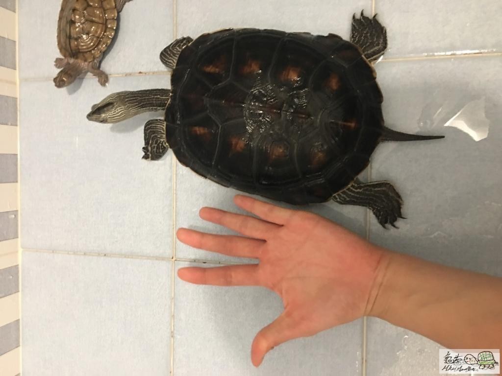 WhatsApp Image 2019-11-11 at 2.05.44 PM.jpeg