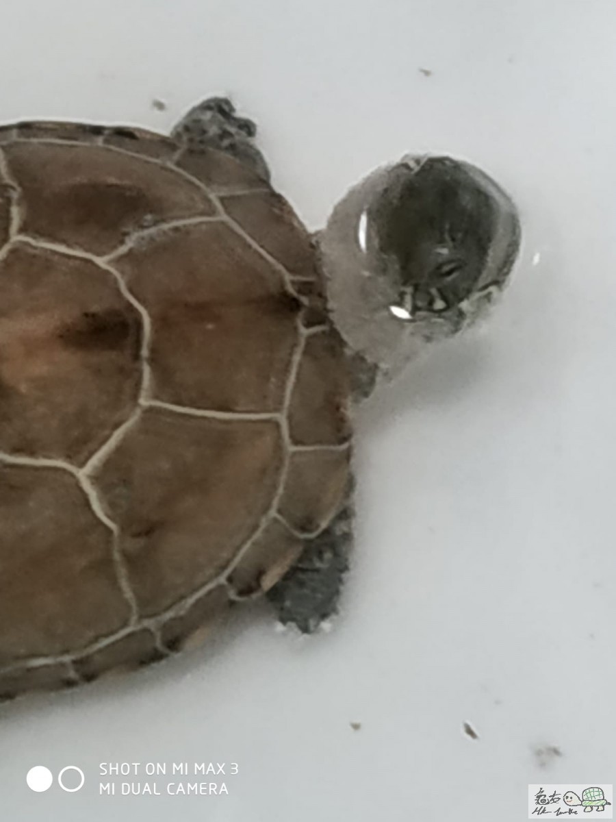 WhatsApp Image 2020-03-08 at 11.20.21 PM.jpeg