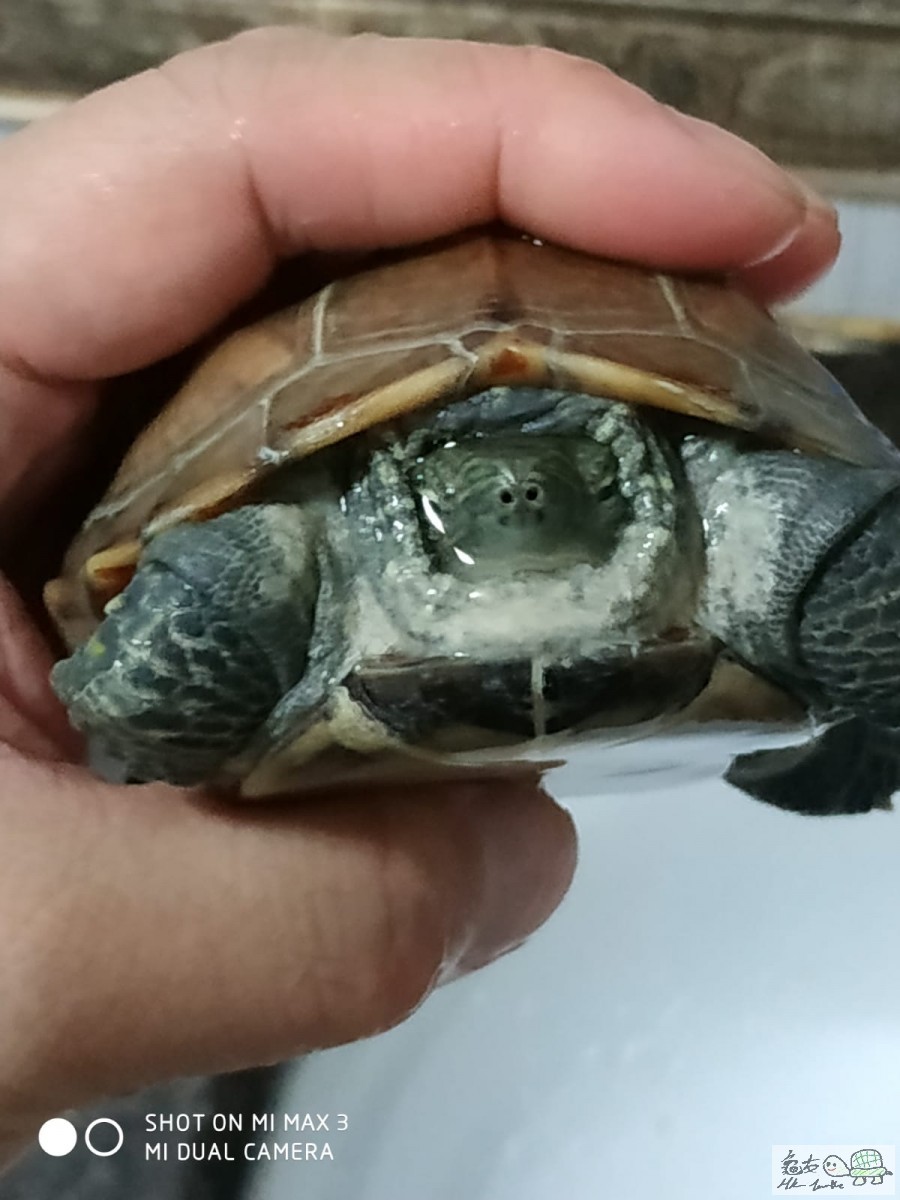 WhatsApp Image 2020-03-08 at 11.20.34 PM (2).jpeg