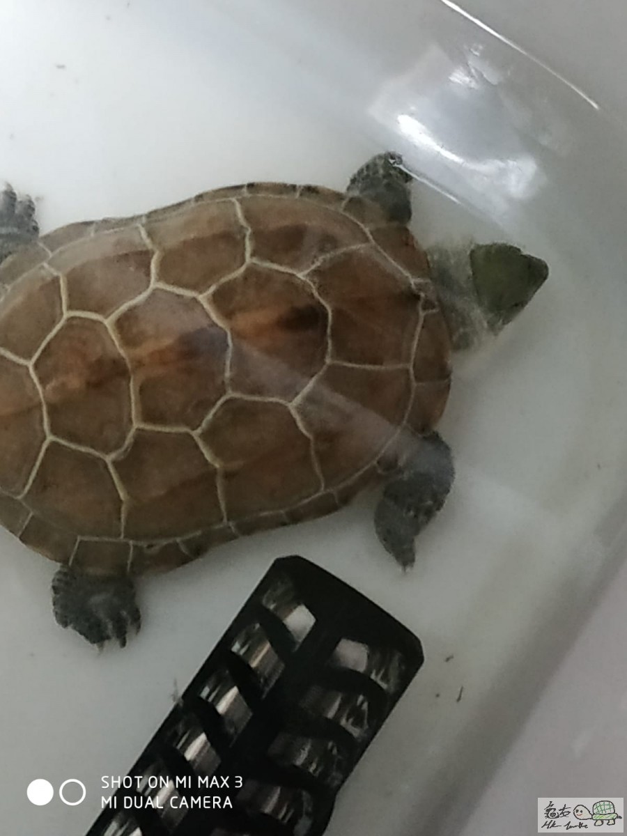 WhatsApp Image 2020-03-08 at 11.20.34 PM (1).jpeg