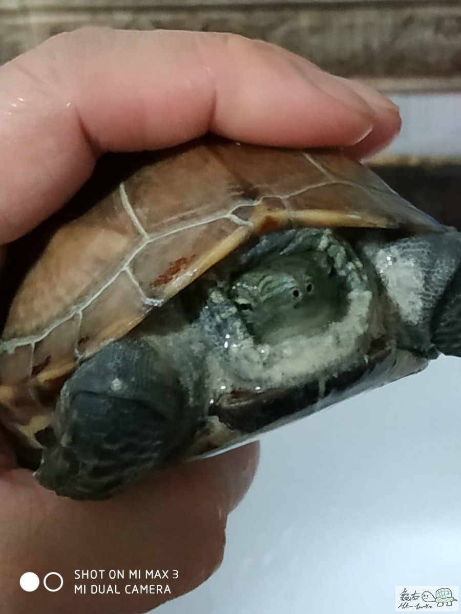 WhatsApp Image 2020-03-08 at 11.20.34 PM.jpeg