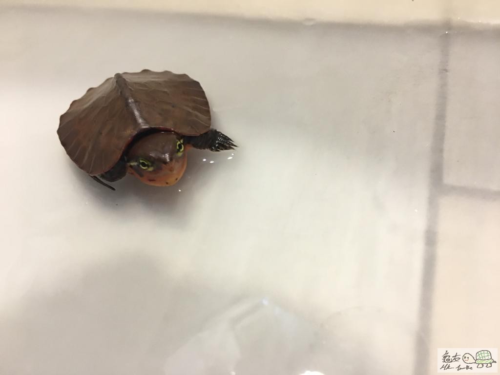 WhatsApp Image 2020-05-03 at 1.20.13 PM.jpeg