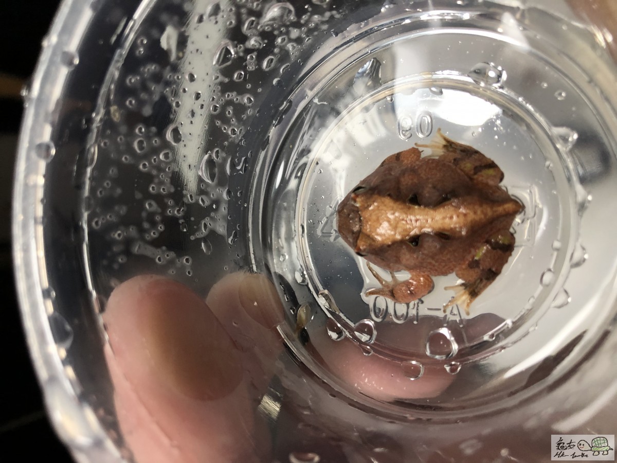 BD0AB01D-704B-4BCC-AB41-A17DEE049DDA.jpeg