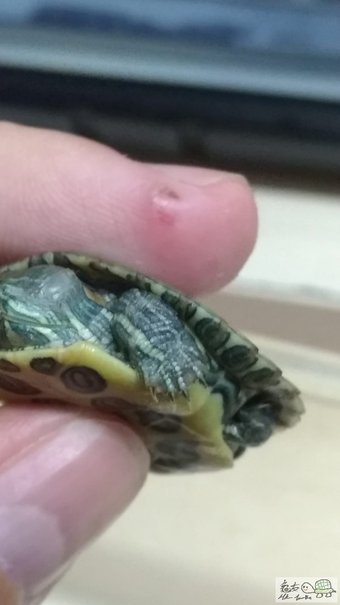 WhatsApp Image 2020-05-30 at 7.26.08 PM (1).jpeg