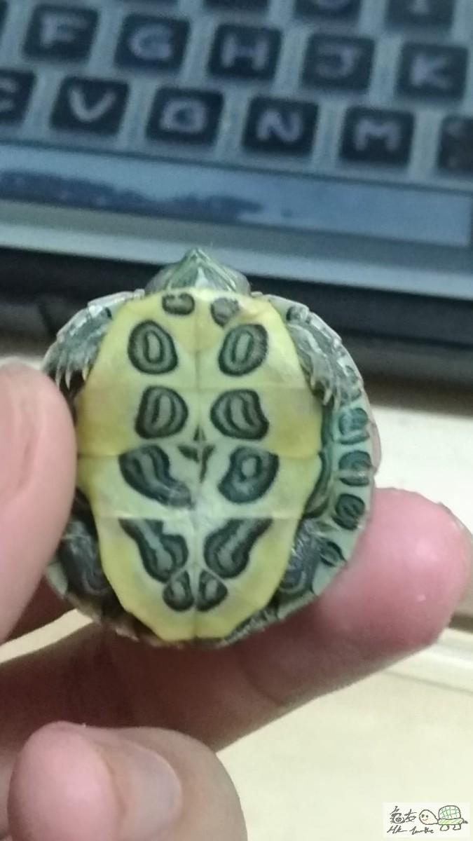 WhatsApp Image 2020-05-30 at 7.26.08 PM (2).jpeg