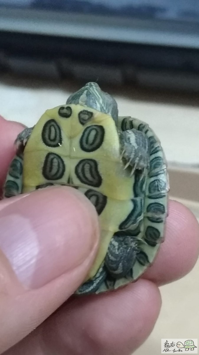 WhatsApp Image 2020-05-30 at 7.26.08 PM.jpeg