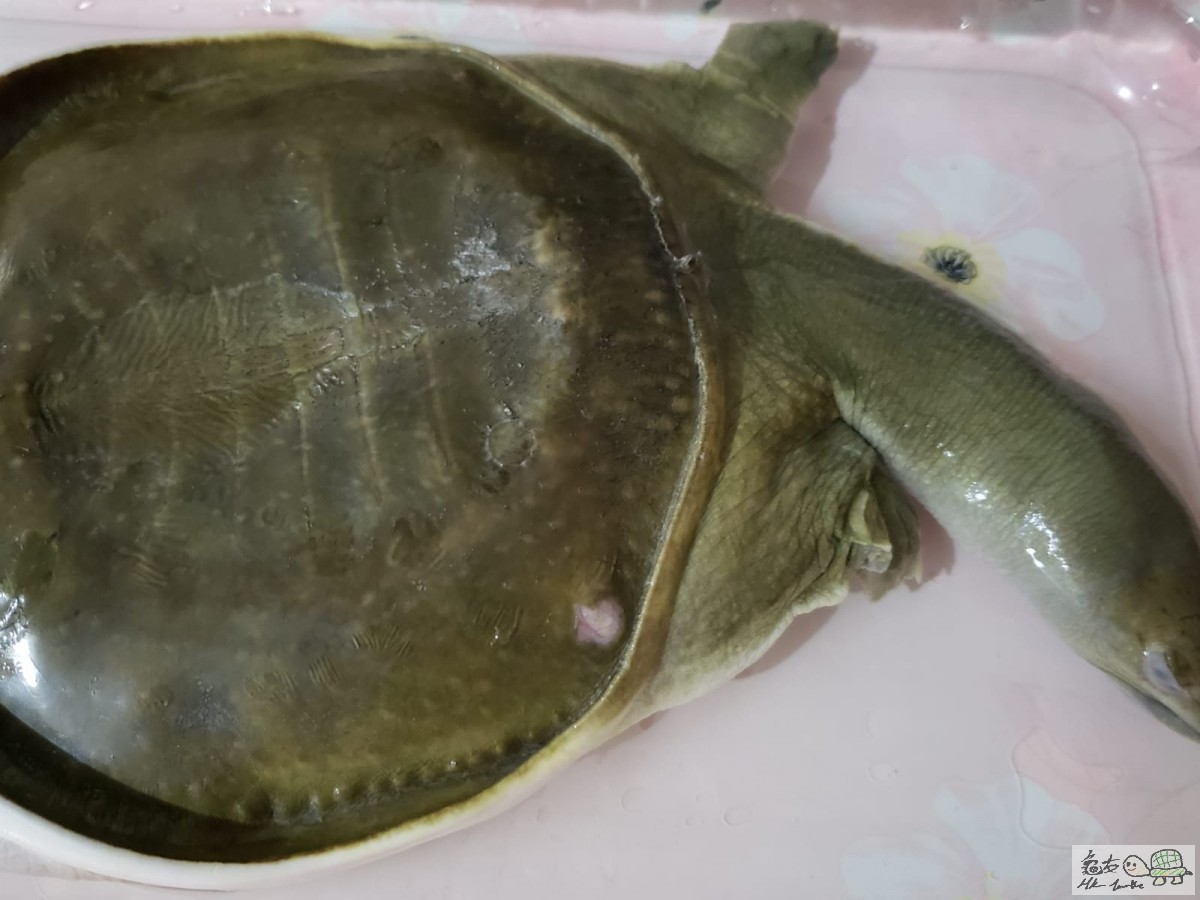 WhatsApp Image 2020-06-09 at 23.32.16.jpeg