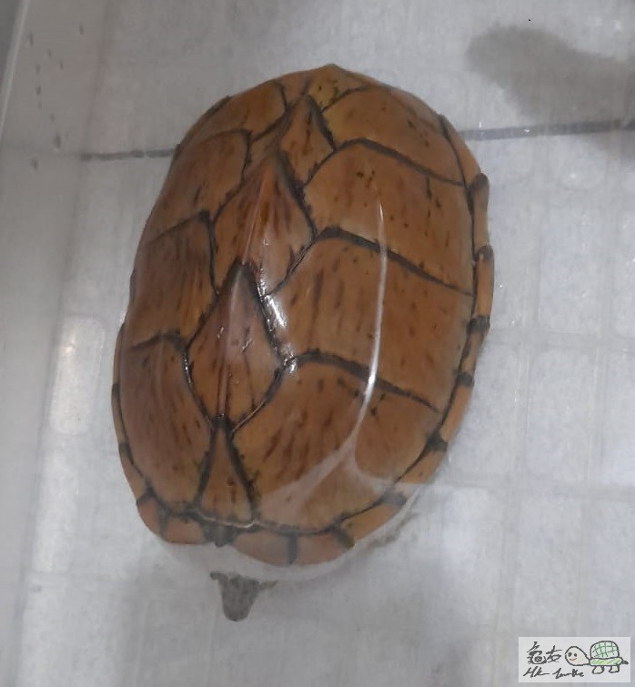 WhatsApp Image 2020-08-25 at 21.41.00 (1).jpeg