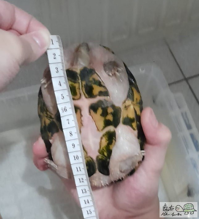 WhatsApp Image 2020-08-25 at 21.41.00.jpeg