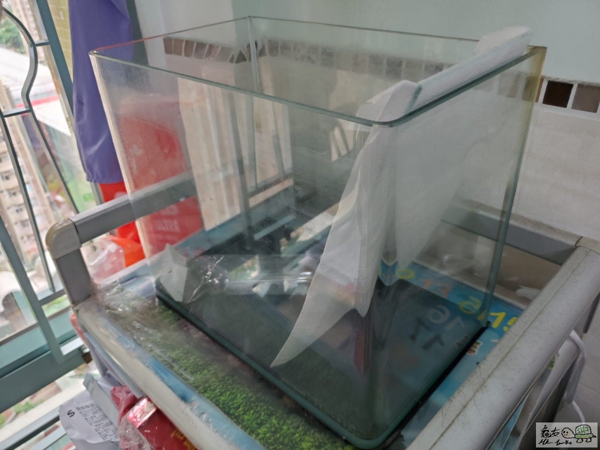 WhatsApp Image 2020-09-06 at 12.19.40 (4).jpeg