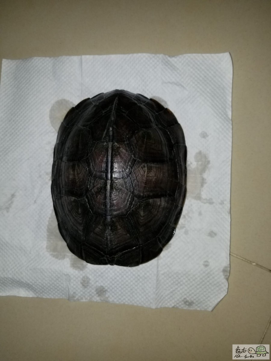 WhatsApp Image 2020-12-22 at 18.58.27.jpeg