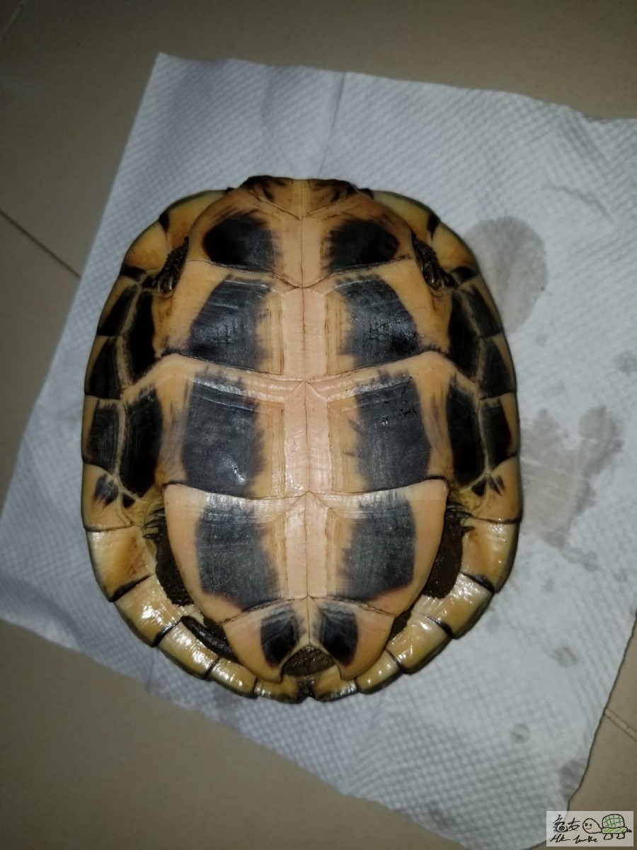 WhatsApp Image 2020-12-22 at 18.58.27 (1).jpeg