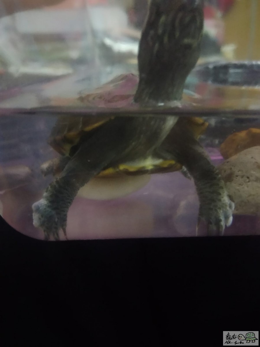 WhatsApp Image 2021-04-07 at 2.39.55 AM.jpeg