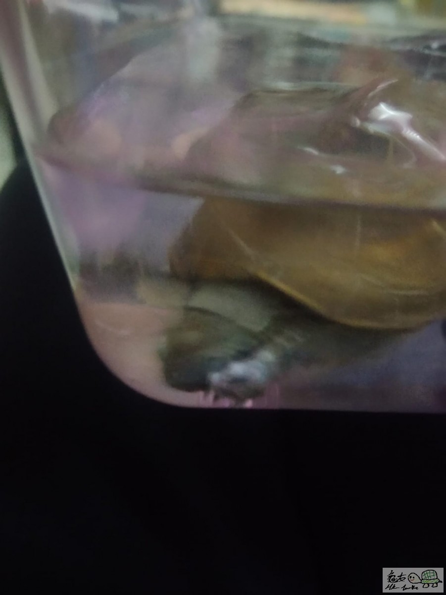 WhatsApp Image 2021-04-07 at 2.39.56 AM (1).jpeg