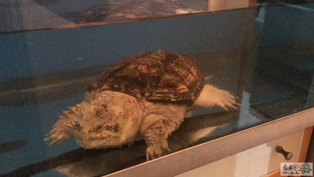 IMG_9349.JPG