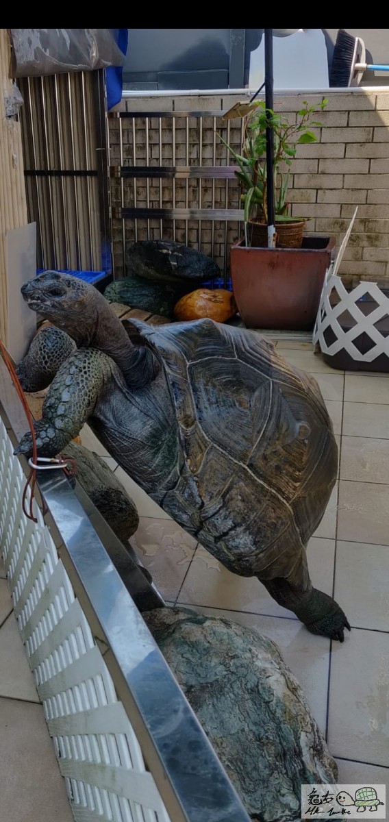 WhatsApp Image 2021-08-21 at 12.33.49 (1).jpeg