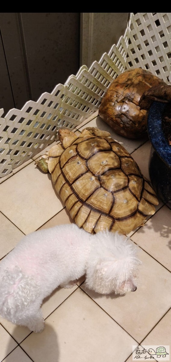 WhatsApp Image 2021-08-21 at 12.33.49 (2).jpeg