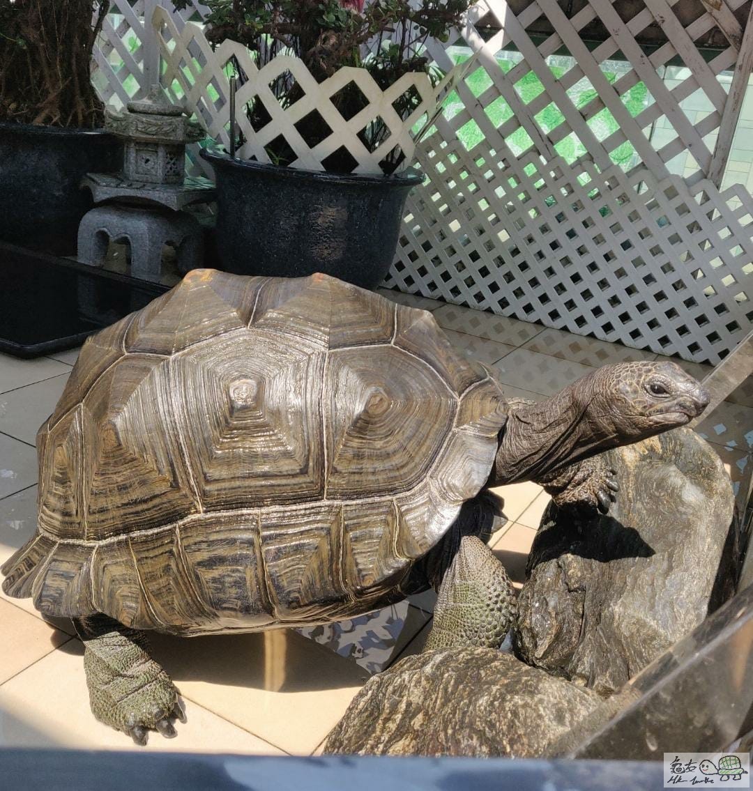 WhatsApp Image 2021-08-21 at 12.33.49.jpeg