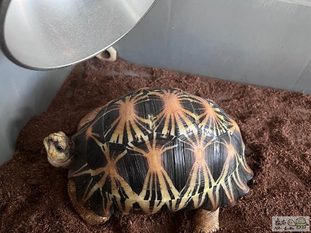 WhatsApp Image 2021-11-28 at 2.29.50 PM.jpeg