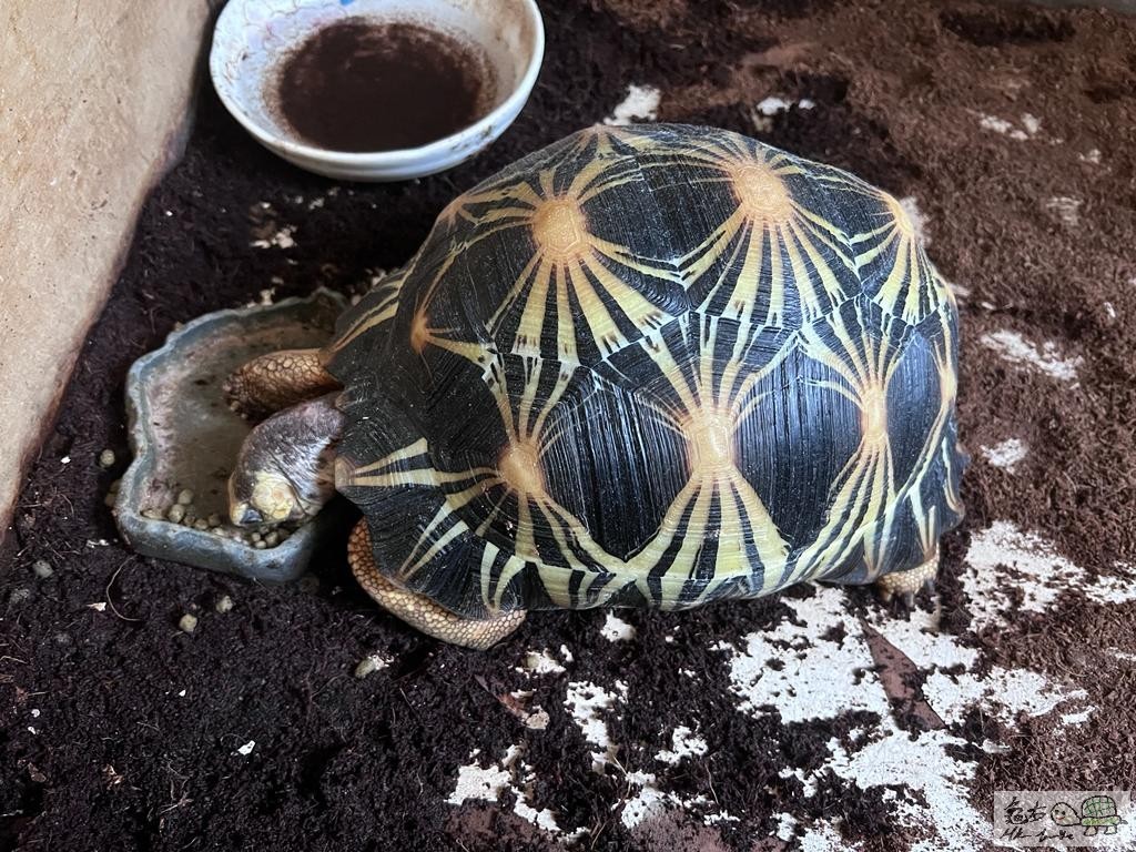 WhatsApp Image 2021-11-28 at 2.30.14 PM.jpeg