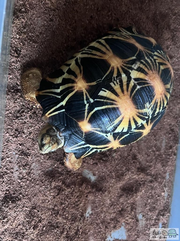 WhatsApp Image 2021-11-28 at 2.29.50 PM (6).jpeg