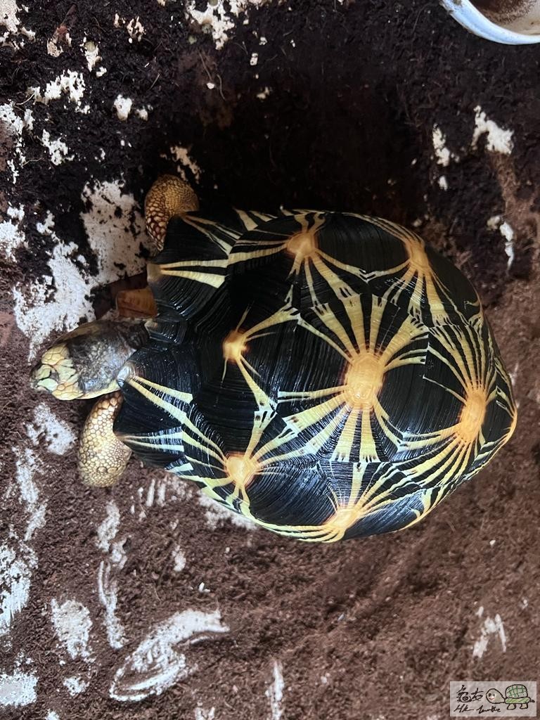 WhatsApp Image 2021-11-28 at 2.29.50 PM (5).jpeg