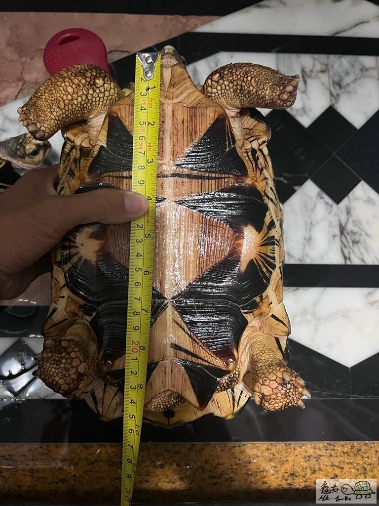 WhatsApp Image 2021-11-28 at 2.29.50 PM (4).jpeg