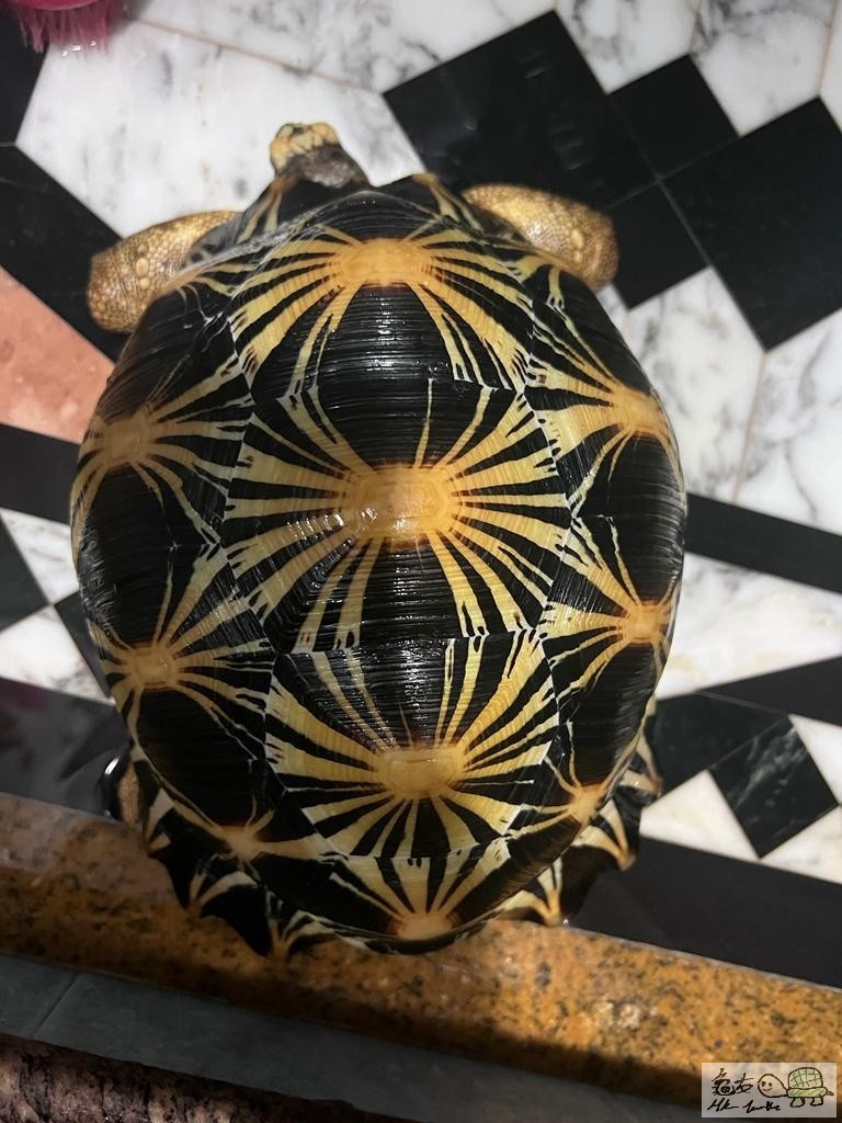 WhatsApp Image 2021-11-28 at 2.29.50 PM (3).jpeg