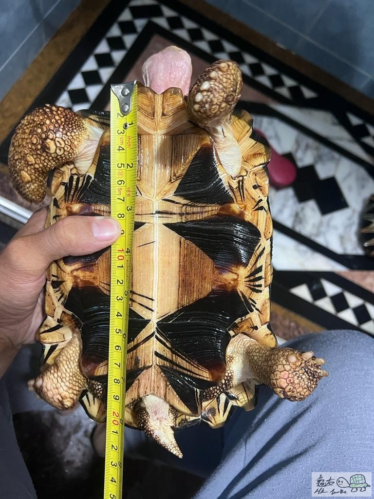 WhatsApp Image 2021-11-28 at 2.29.50 PM (1).jpeg