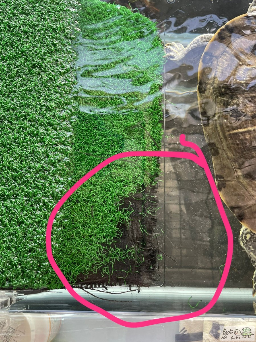 WhatsApp Image 2022-07-21 at 3.58.00 PM.jpeg