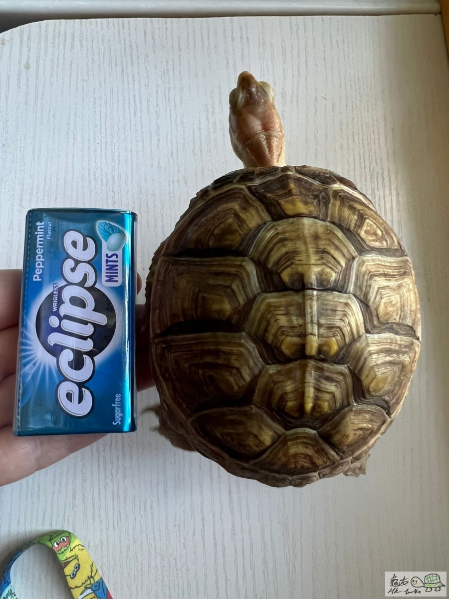 WhatsApp Image 2022-07-23 at 12.06.24 AM.jpeg